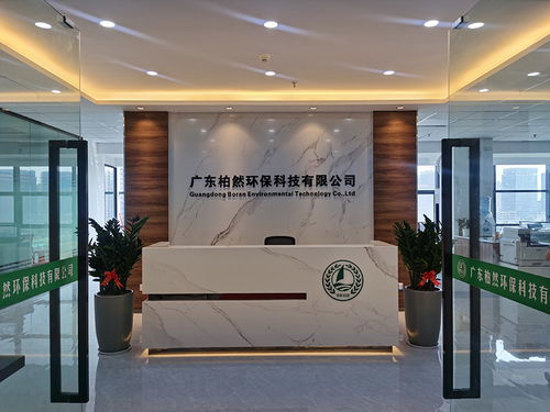 專業(yè)高效，助您輕松過關(guān)——佛山環(huán)評代辦專家，為企業(yè)發(fā)展保駕護(hù)航